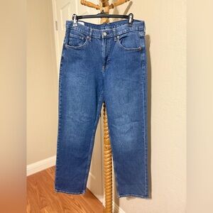 GAP '90s Loose Mid Rise Blue Jeans Size 8
